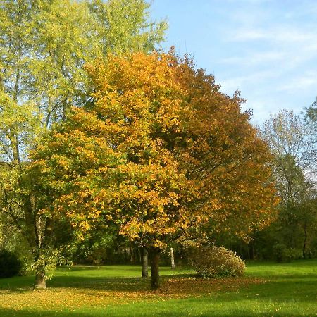 Bed and Breakfast Le Grand Pré Daillancourt Esterno foto