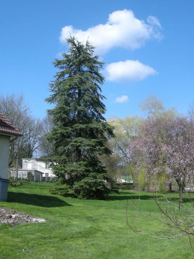 Bed and Breakfast Le Grand Pré Daillancourt Esterno foto