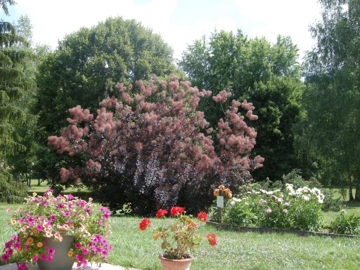 Bed and Breakfast Le Grand Pré Daillancourt Esterno foto