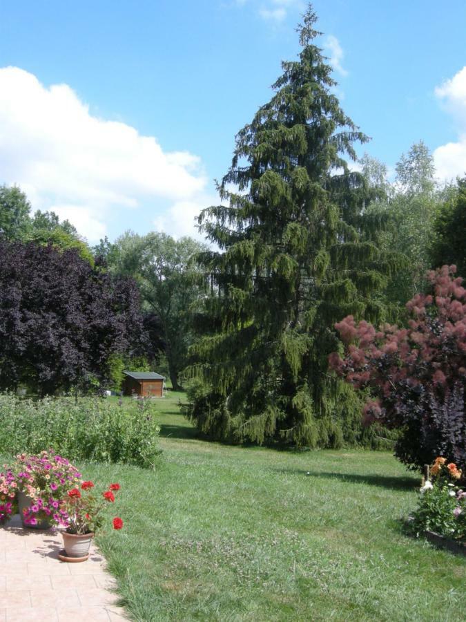 Bed and Breakfast Le Grand Pré Daillancourt Esterno foto